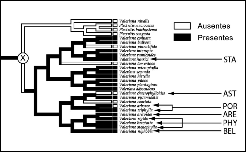 figura 1-dendrograma